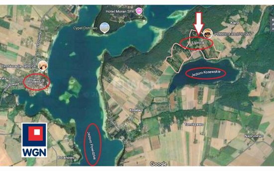 Grunt rekreacyjny/p.o.d. na  sprzedaż Powidz - Urokliwa działka blisko Jeziora Powidzkiego, na której rosną już drzewa. Można pięknie wkomponować dom wśród zieleni